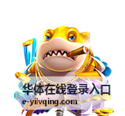 华体在线登录入口页面加载缓慢时的自查要点封面