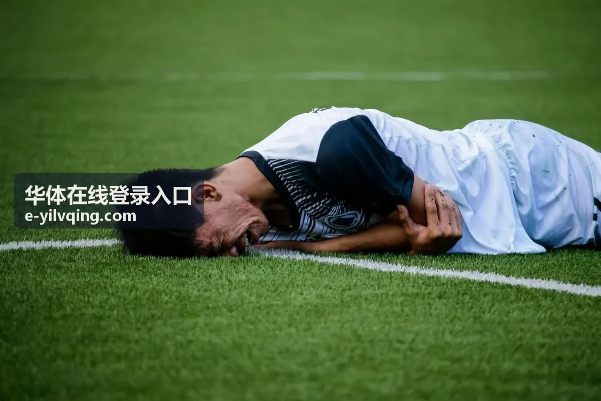 华体在线登录入口密码重置流程示意